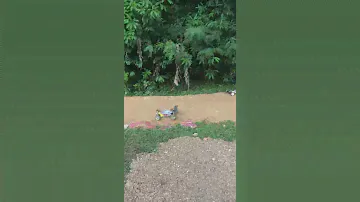 buggy serpent vs fs racing