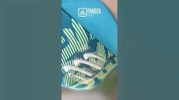 Compressport Trucker Caps de venta aquí en Pangea Shop