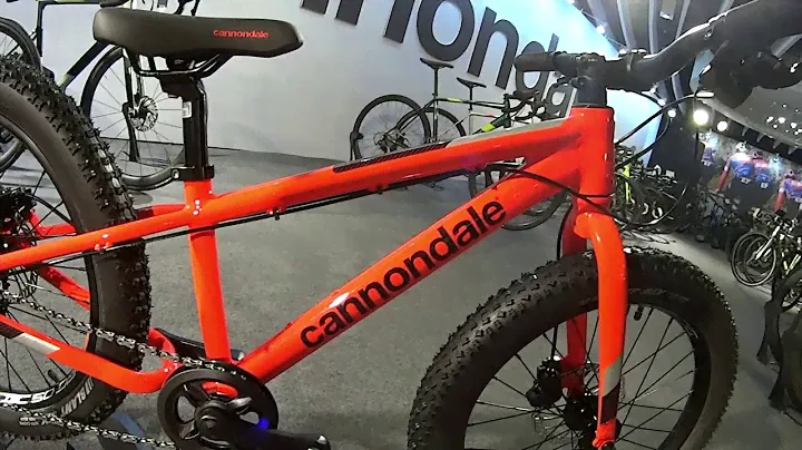 Cannondale Cujo Race 20+ Велосипед 20+" Cannondale CUJO Race OS 2020 ARD красный (SKD-68-31)