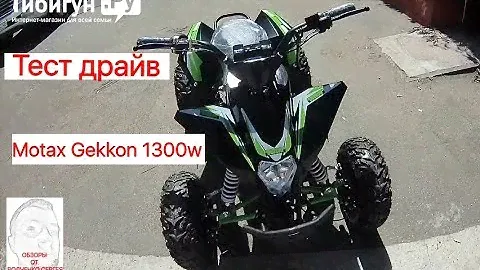 Тест драйв Motax Gekkon 1300w