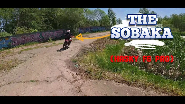 THE SOBAKA. Обкатываем новую Hasky F6 PRO RACING