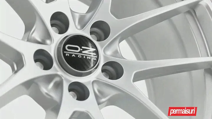OZ Racing Leggera HLT Matt Race SIlver