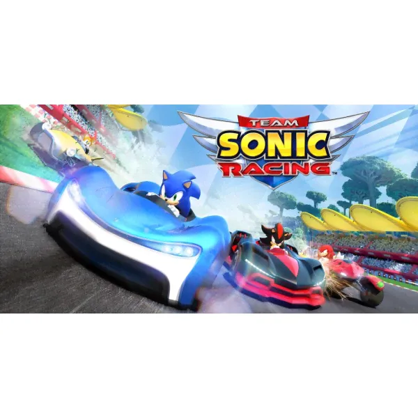 Цифровая версия игры Nintendo Team Sonic Racing-0