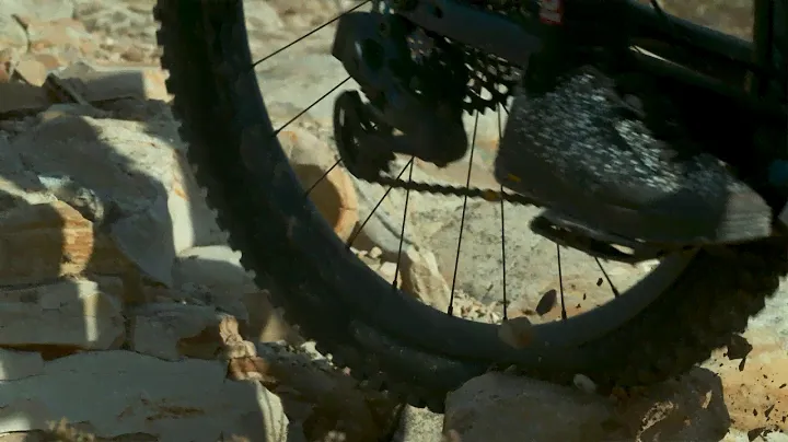 Bontrager Line Wheels