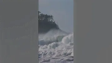 Catch Waves All Year: Tofino Surf Guide 🌊 Link in the description! #tofino #winter #PNW #explorebc